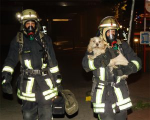 Die Einsatzkräfte haben zu oft mit Respektlosigkeit und Behinderung ihrer Arbeit zu kämpfen. Foto: Feuerwehr Dortmund