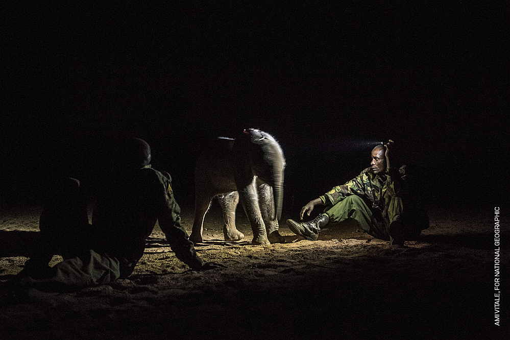 Ami-Vitale-Verwaiste-Elephanten-werden-in-Nordkenia-gepflegt-Ami-Vitale-for-National-Geographic-Online