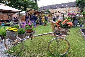 Gartenparadies in der Stollenstraße