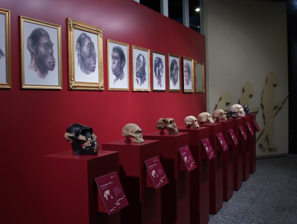 Das Museum für Naturkunde lädt zu einer Familienführung zum Thema "Steinzeit" ein.