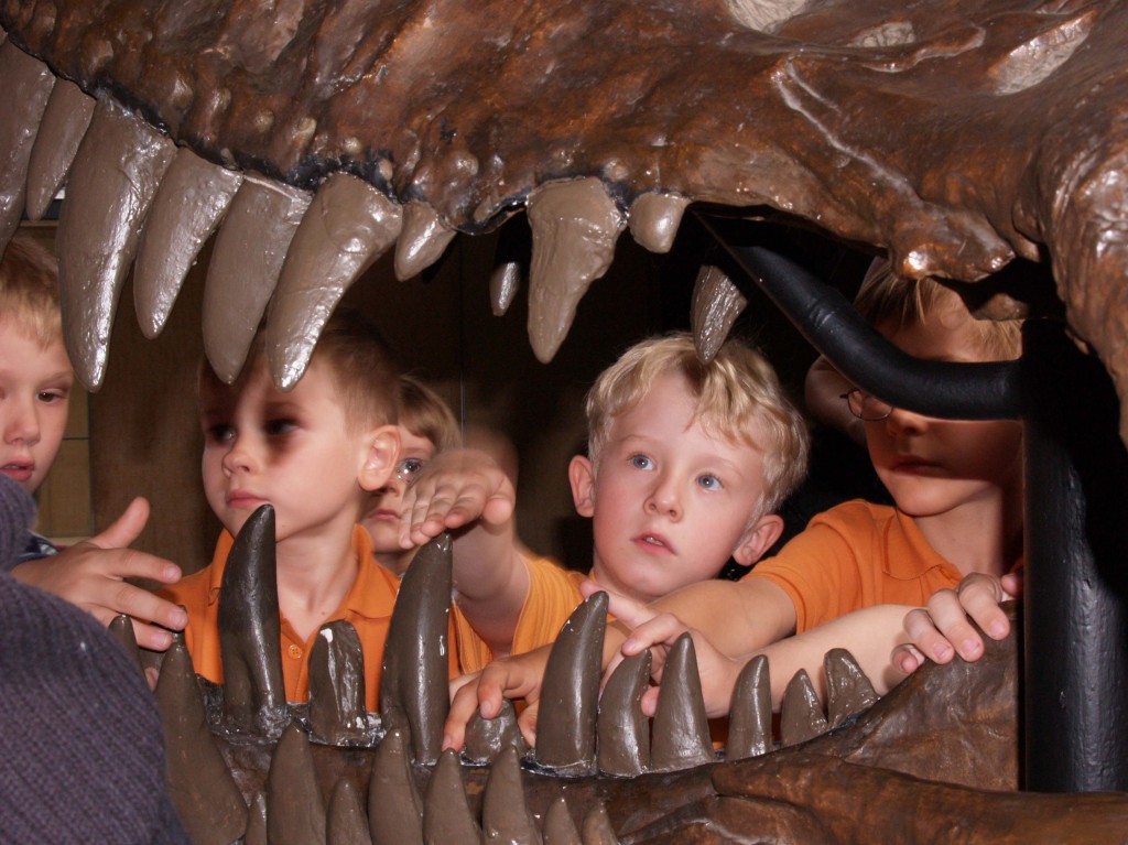 Herbstferienprogramm im Dortmunder Museum für Naturkunde