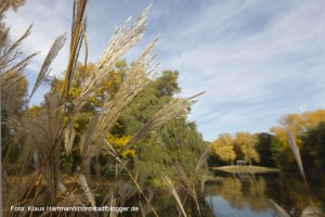 Der Fredenbaumpark im Herbst