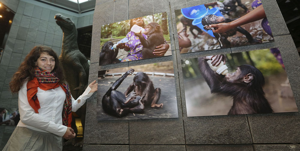 Kinshasa vivant, Fotoasusstellung im Dortmunder Museum für Naturkunde