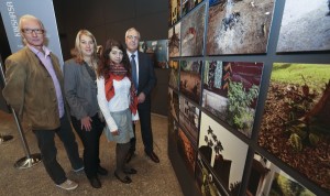 Kinshasa vivant, Fotoasusstellung im Dortmunder Museum für Naturkunde