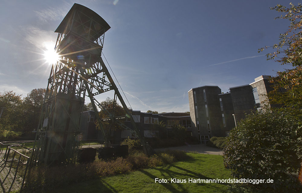 Das Museum für Naturkunde. Foto: Klaus Hartmann/nordstadtblogger.de