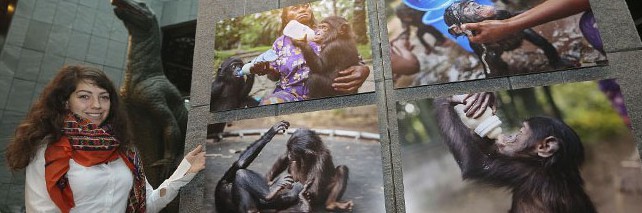 Kinshasa vivant, Fotoasusstellung im Dortmunder Museum für Naturkunde