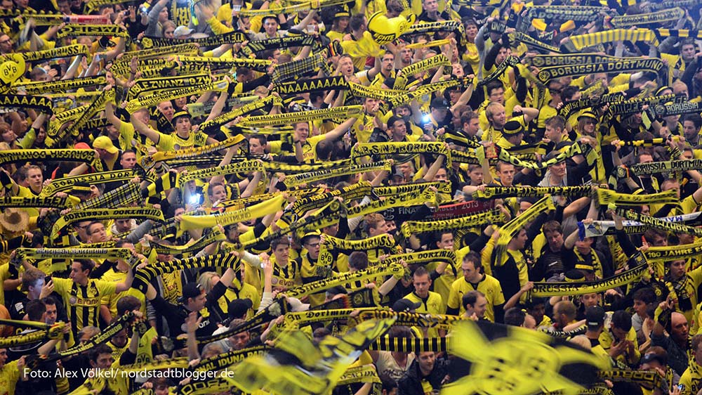 BVB Fans