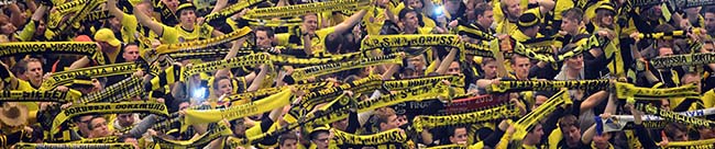 BVB Fans