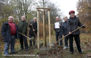 Freundeskreis pflanzt Baum des Jahres im Fredenbaumpark, einen Holzapfel