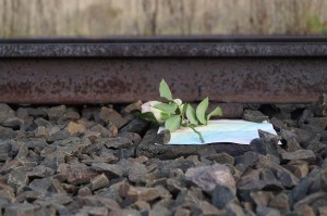 Gedenkstättenfahrt nach Auschwitz