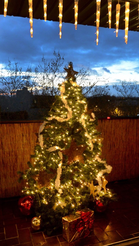 Weihnachtsbaum in der Nordstadt