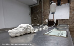 Künstlerhaus am Sunderweg präsentiert die Ausstellung: Im Kielwasser