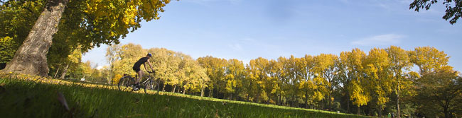 Der Fredenbaumpark im Herbst