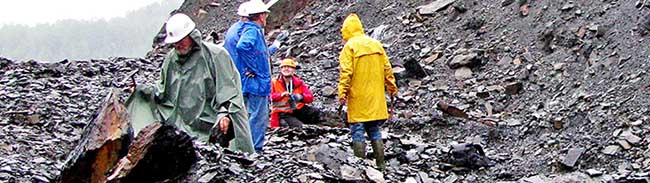 Krönender Abschluss für die Exkursionsteilnehmer war natürlich, dass Sie selbst den Hammer schwingen und Fossilien von Pflanzen aus der Karbon-Zeit aus dem Gestein freilegen konnten.