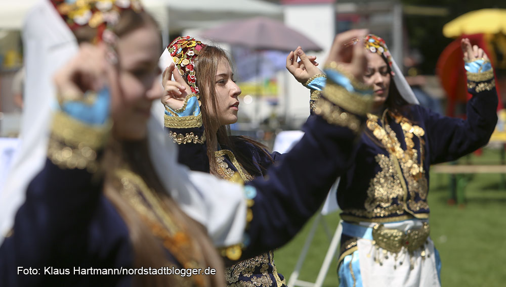 Hoeschpark- Fest 2014, Tanzvorführung von Türk Egiti, Merkezi