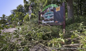 Sturm mit Gewitter verwüstetet Fredenbaumpark. Der Park ist vorläufig gesperrt