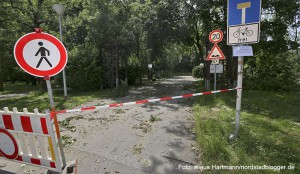 Der Fredenbaumpark ist vorläufig gesperrt