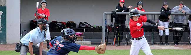 Die Baseball-Spieler der Dortmund Wanderers sind im Hoeschpark zu Hause. Foto: Verein