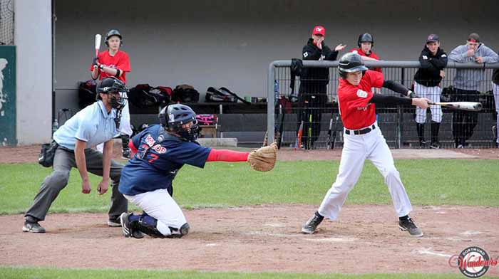 Die Baseball-Spieler der Dortmund Wanderers sind im Hoeschpark zu Hause. Foto: Verein