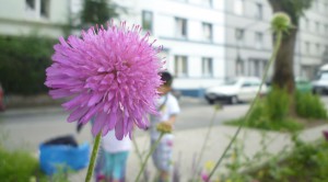 Fotoprojekt KiTa Yorckstraße