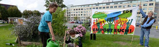 Die Bürgerinitiative „Garten statt ZOB" hat auf der Nordseite des Hauptbahnhofs vor drei Jahren symbolisch einen Garten angelegt. Foto: Alex Völkel
