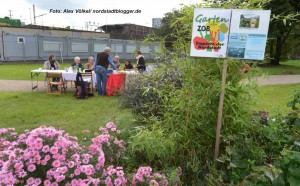 Die Bürgerinitiative „Garten statt ZOB" hat auf der Nordseite des Hauptbahnhofs vor drei Jahren symbolisch einen Garten angelegt. Foto: Alex Völkel