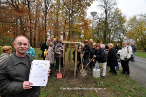 Eine Traubeneiche, Baum des Jahres 2014, pflanzt am 20 November der Freundeskreis Fredenbaumpark nahe des Eingangsbereichs an der Schützenstraße. Traditionell spendiert der  Freundeskreis den Baum des Jahres und erweitert somit den Baumlehrpfad. Michael Stoeckert (li.) vom Fachbreich Stadtgrün des Tiefbauamtes bedankt sich dafür mit einm Zertifikat.