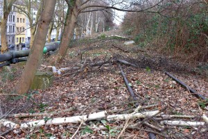 Am Bahndamm an der Gronaustraße hat die Bahn das Dickicht gerodet. Foto: W.-D. Blank