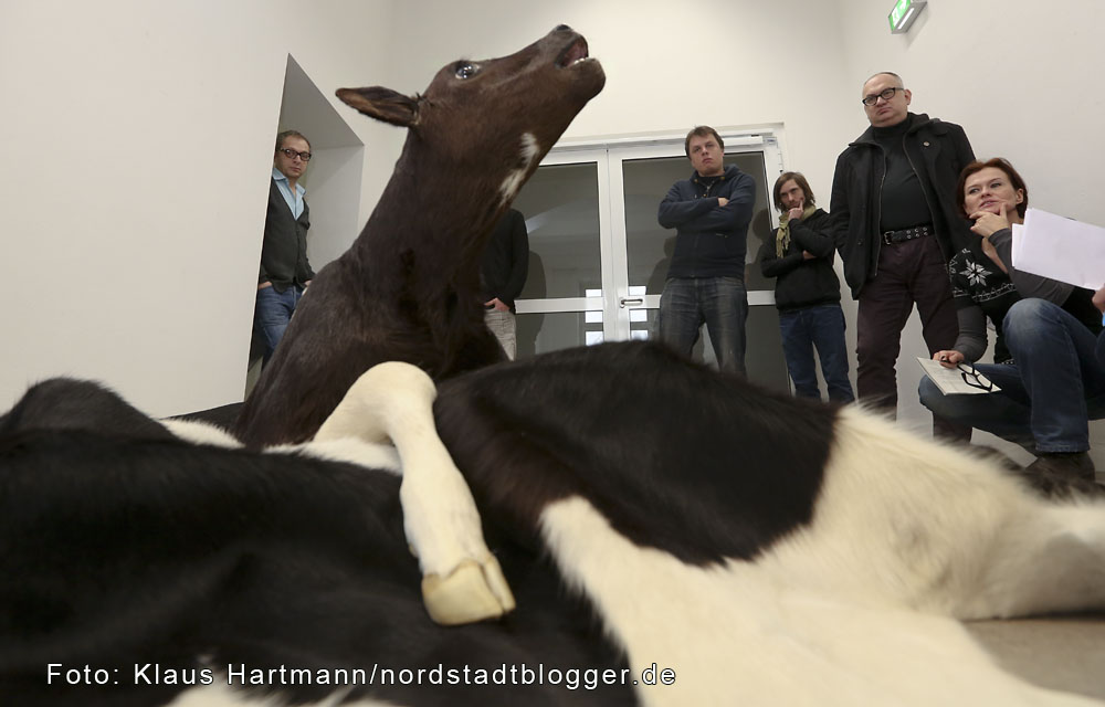 I Wanna Be Your Dog: Positionen zur Mensch-Tier-Beziehung in der aktuellen Kunst im Künstlerhaus Sunderweg. Arbeit von Afrke Golsteijn und Floris Bakker