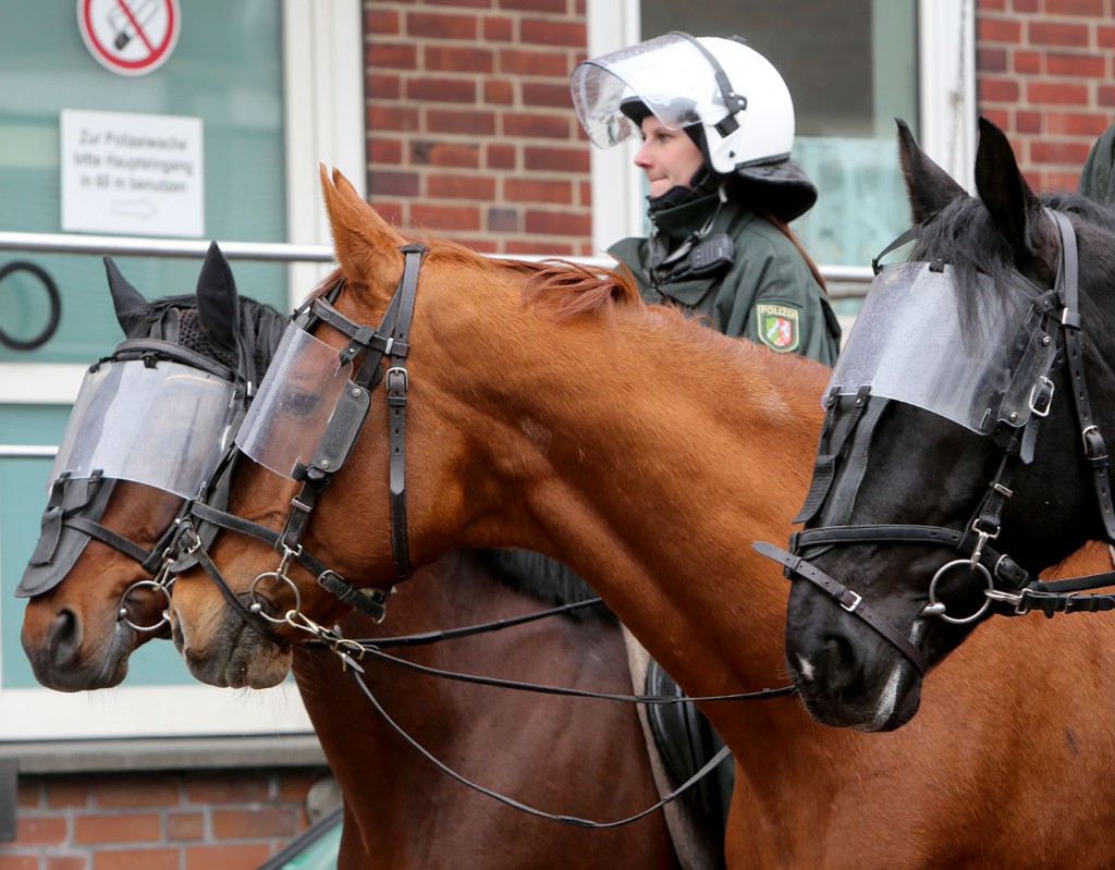 Nazi-Demonstration am 10. Todestag von Thomas "Schmuddel" Schulz. Der Pferde der Reiterstaffel der Polizei mit Augenschutz