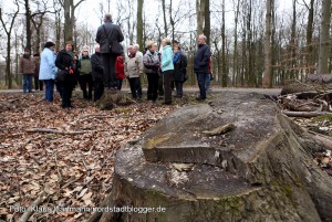 Buschwindröschenwanderung des Freundeskreis Fredenbaum