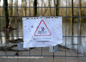 Steigender Grundwasserspiegel sorgt in Brügmanns Hölzchen im Hoeschpark für Überflutung