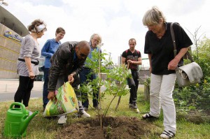 Die Initiative Garten statt ZOB setzt einen Bienenbaum - spontane Hilfe beim Hacken und Schaufeln ermöglichen eine schnelle Pflanzaktion.