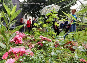 2. Nordwärts-Wanderung durch das Nordmarkt-Viertel. Im Bürgergarten Kleine Heroldstraße