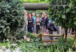 2. Nordwärts-Wanderung durch das Nordmarkt-Viertel. Baumscheibenpaten im Brunnenstraßenviertel