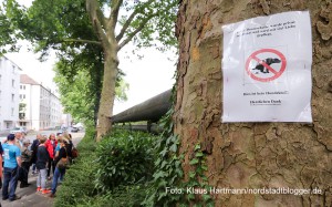 2. Nordwärts-Wanderung durch das Nordmarkt-Viertel. Baumscheibenpaten im Brunnenstraßenviertel