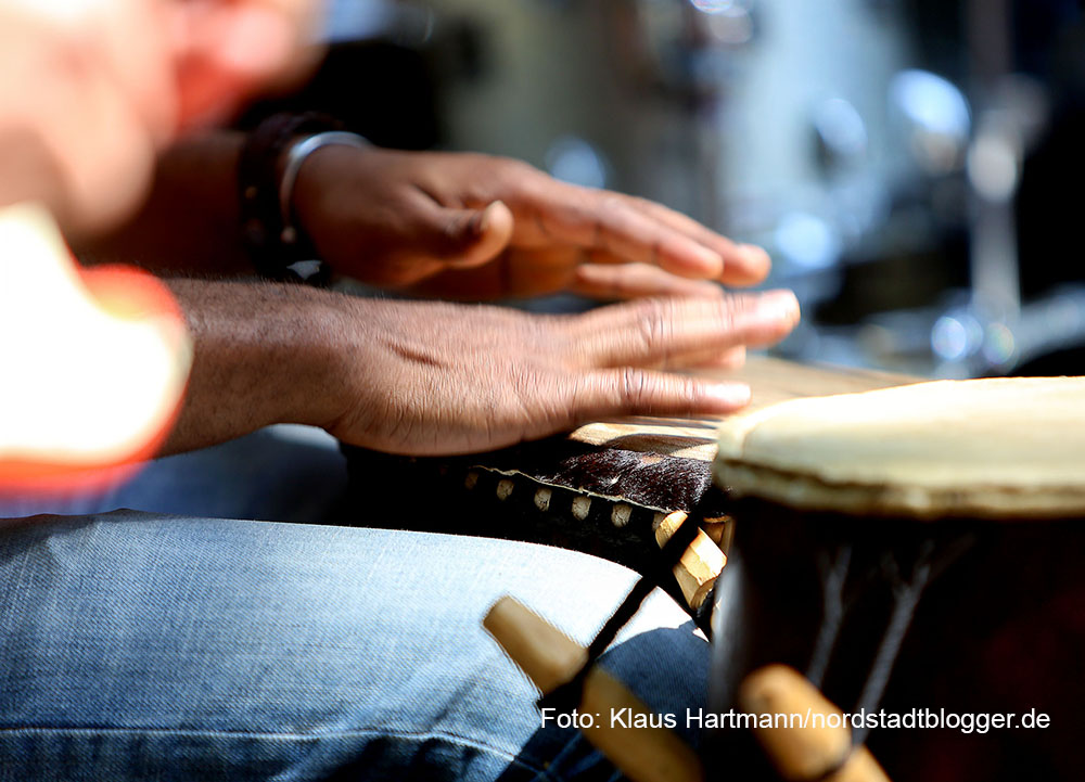 Zweite Ausgabe der Veranstaltungsreihe Musik.Kultur.Picknick 2015 auf dem Nordmarkt mit Lena Danai und The Day