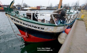 Im Schmiedinghafen, wo auch die Vertorfen der ZWAR-Gruppe und Herr Walter liegen, sollen auch die Flüchtlingsschiffe festmachen.