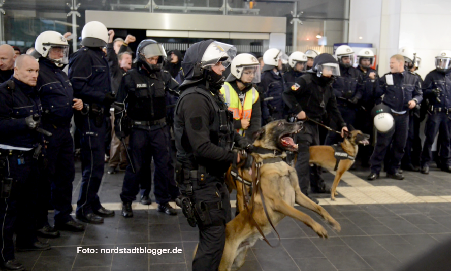 Die Polizeihundeführer hatten teilweise die Maulkörbe ihrer Tiere abgenommen. Eine Frau wurde in die Hand gebissen.