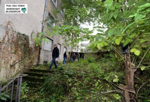 Verwildert sind die Außengelände der Kirche. Vom gärtnerischen Einsatz vor einem Jahr ist nichts mehr zu sehen.