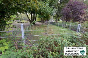 Entlang der Außengeländes haben Kita-Beschäftigte mehrfach Drogen gefunden und die Polizei alarmiert. Foto: Alex Völkel