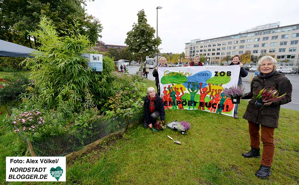 Die Initiative Garten statt ZOB blickt auf ein vierjähriges Bestehen zurück.