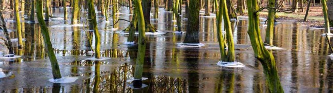 Der Hoeschpark steht teilweise schon wieder unter Wasser. Foto: Simon Bierwald