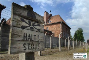 Esther Bejarano überlebte die Hölle von Auschwitz-Birkenau. Foto: Alex Völkel