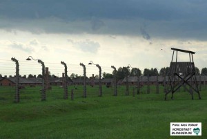 Von 6500 SS-Männern aus Auschwitz, die den krieg überlebten, wurden nur 49 verurteilt.