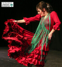 Noche Flamenca im Theater im Depot