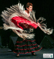 Noche Flamenca im Theater im Depot