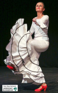 Noche Flamenca im Theater im Depot