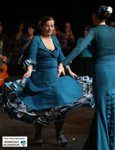 Noche Flamenca im Theater im Depot