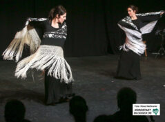 Noche Flamenca im Theater im Depot